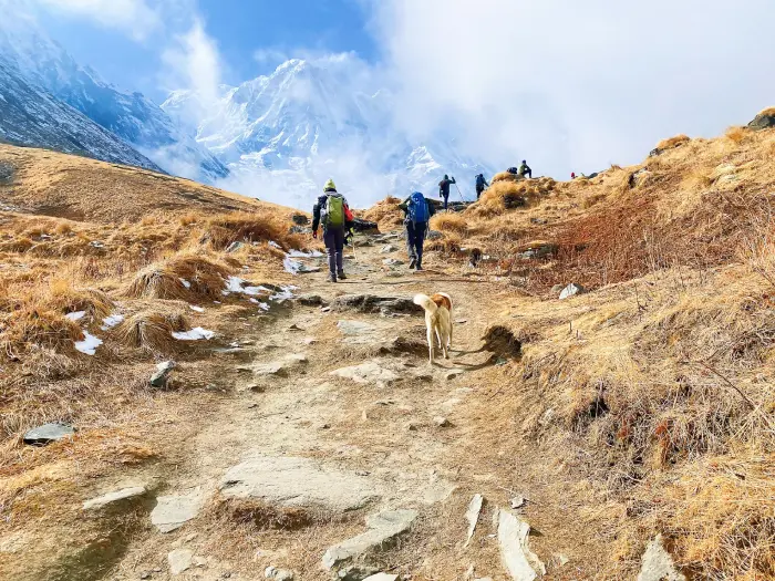 amazing trekking journey in Nepal