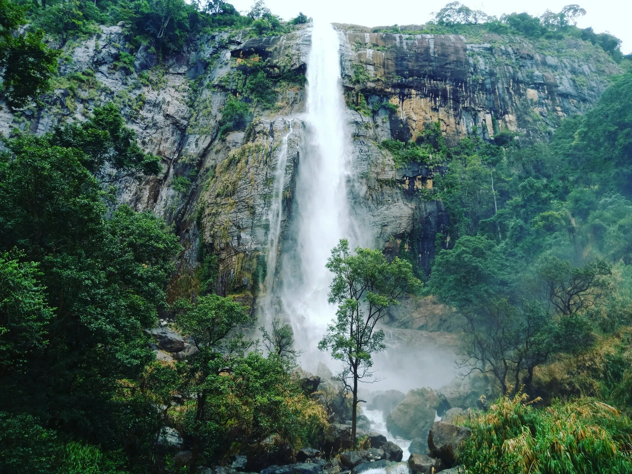 Holidays in Sri Lanka